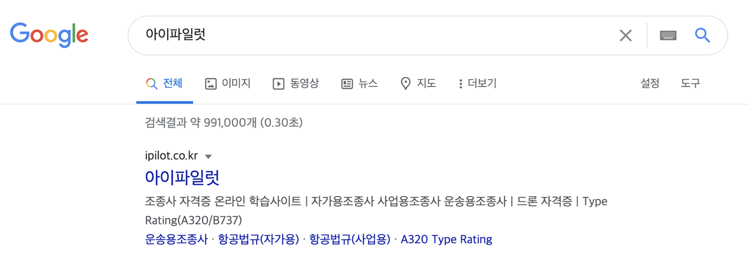 아이파일럿 구글 검색