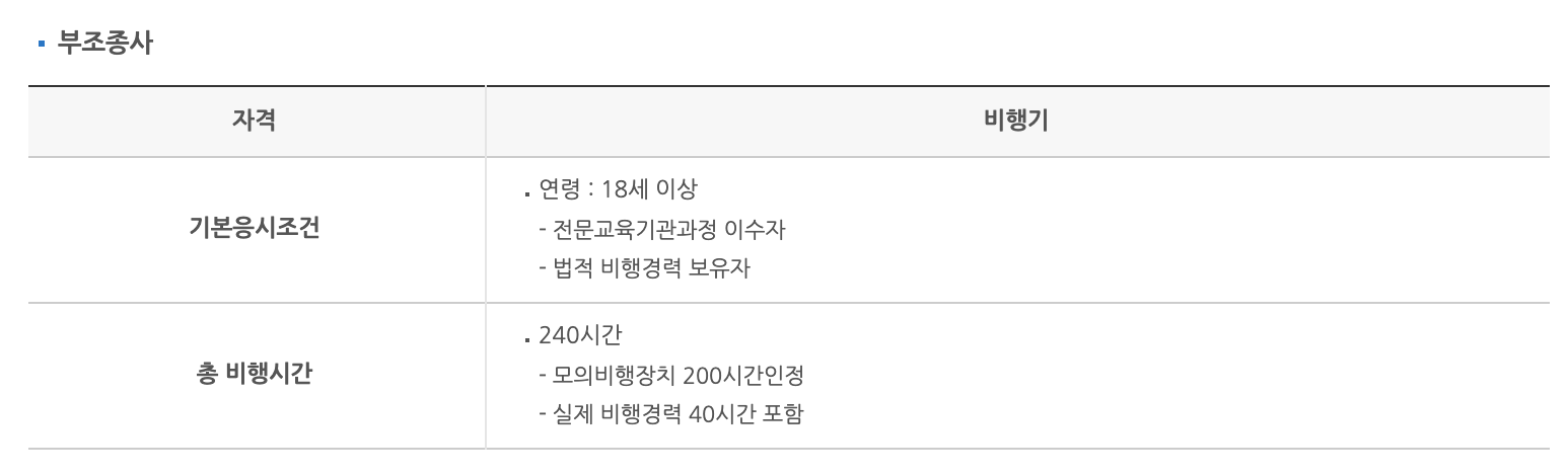 부조종사 아이파일럿